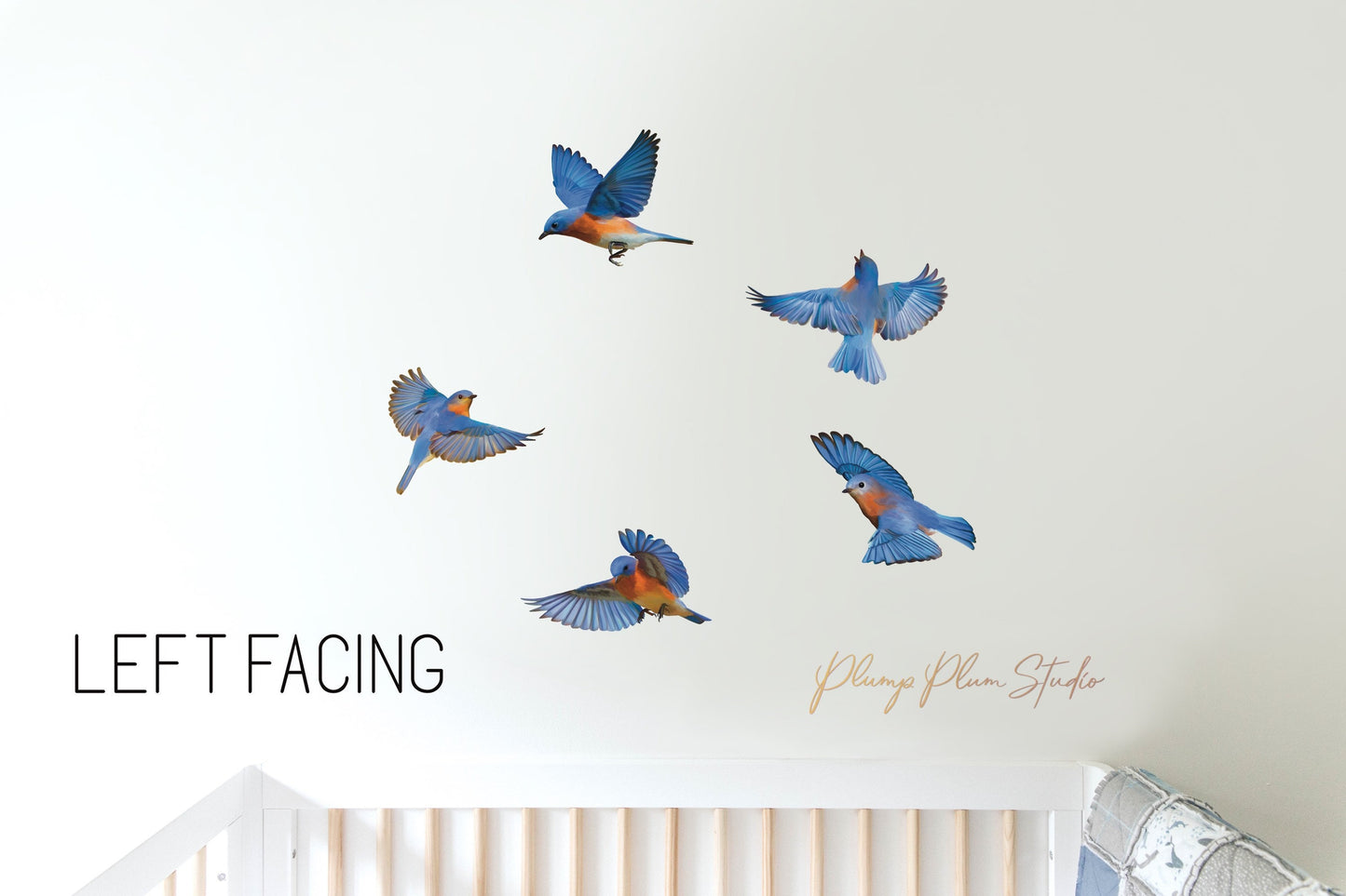Set of Blue bird decals (bundle of 5), realistic blue bird wall stickers, indoor/outdoor repositionable luxury textured vinyl, car decals