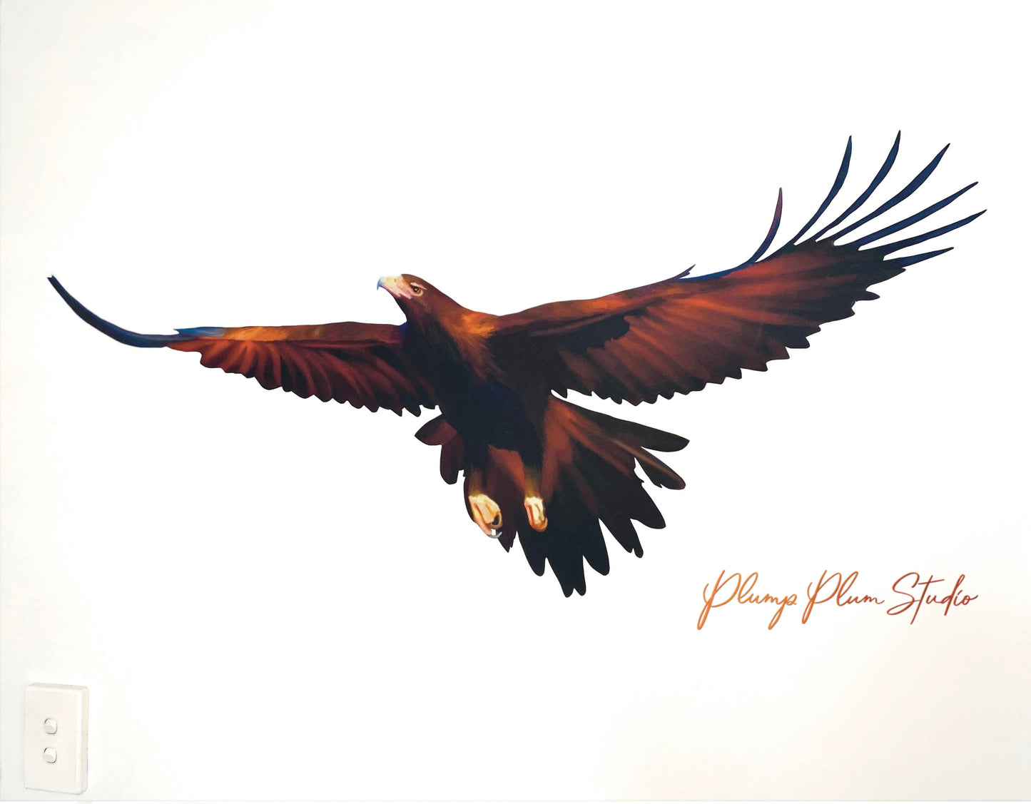 Large Wedgetail Eagle decal, large sticker, Australian Wedgetail Eagle sticker, rental friendly decal, repositionable fabric wall decal
