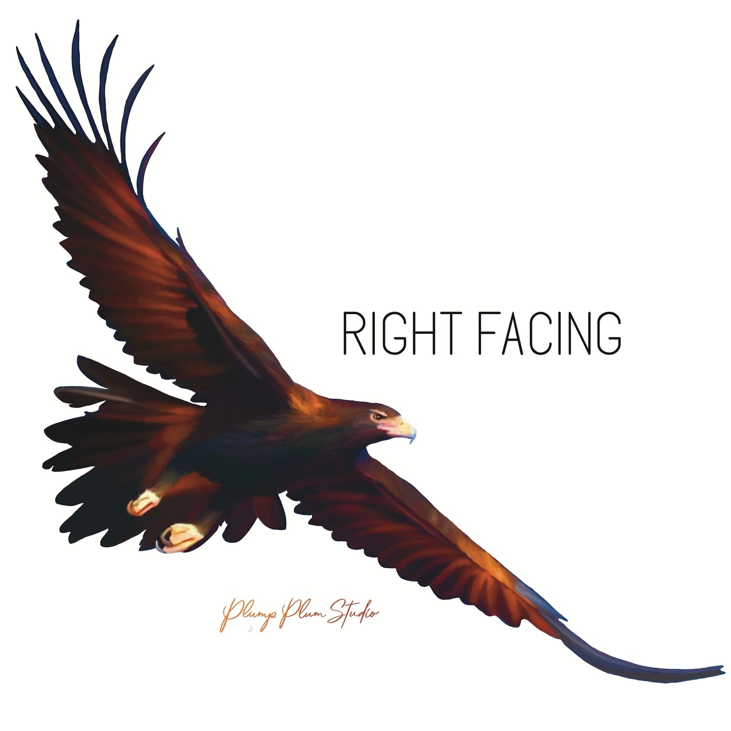 Large Wedgetail Eagle decal, large sticker, Australian Wedgetail Eagle sticker, rental friendly decal, repositionable fabric wall decal