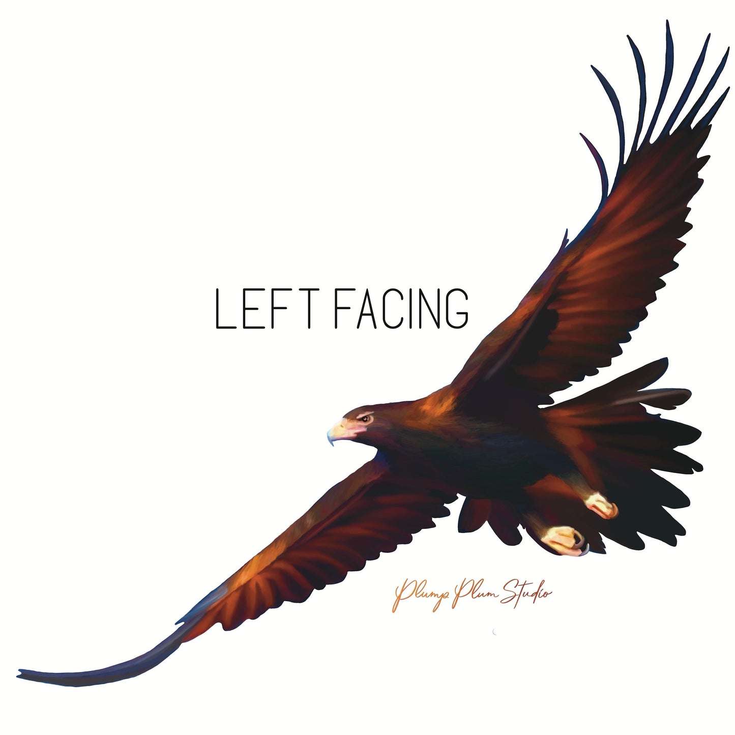 Large Wedgetail Eagle decal, large sticker, Australian Wedgetail Eagle sticker, rental friendly decal, repositionable fabric wall decal