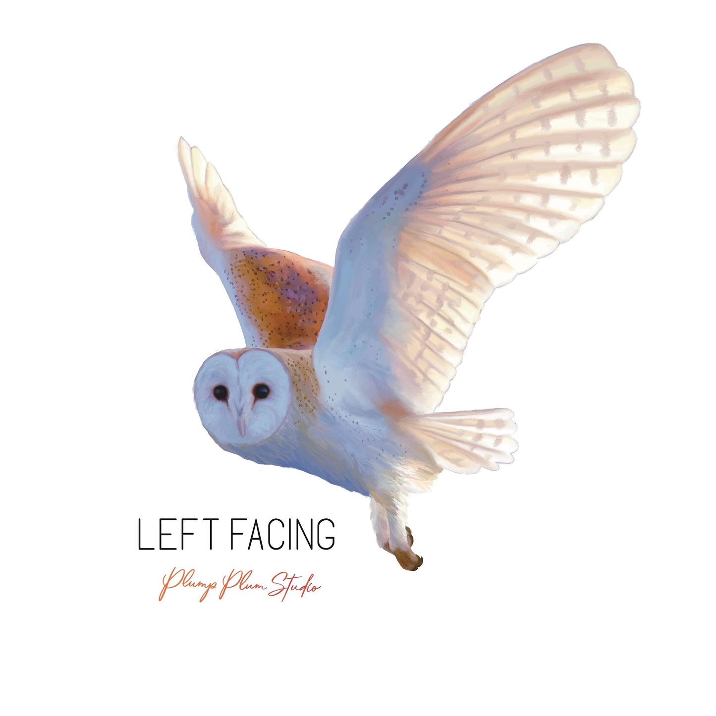 Flying Barn Owl decal, Owl sticker, Realistic owl decal, Bird lover gift, removable decal, bird vinyl sticker, light switch decal, car decal