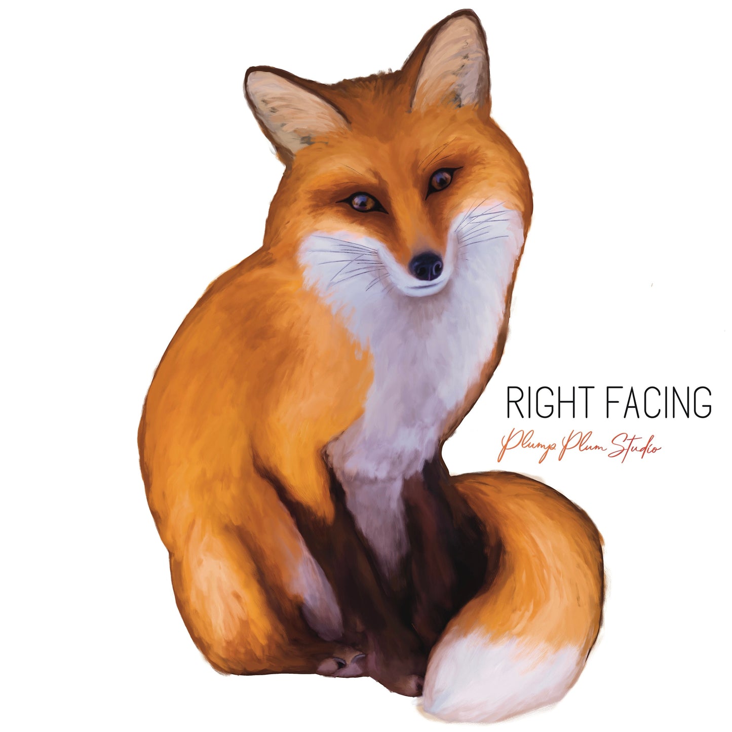 Realistic fox decal, Woodland animal sticker, illustrated fox decal, English woodland, nursery art, vinyl textured decal, in/outdoor sticker