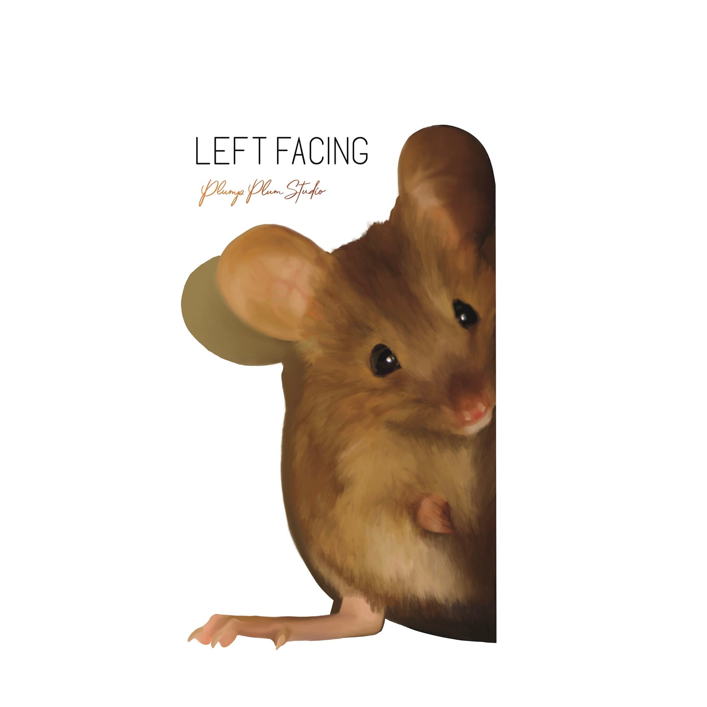 Realistic mouse decal, vinyl mouse sticker, tiny mouse car sticker, vinyl wall decal, illustrated mouse, cute wood mouse, mouse house, reuse