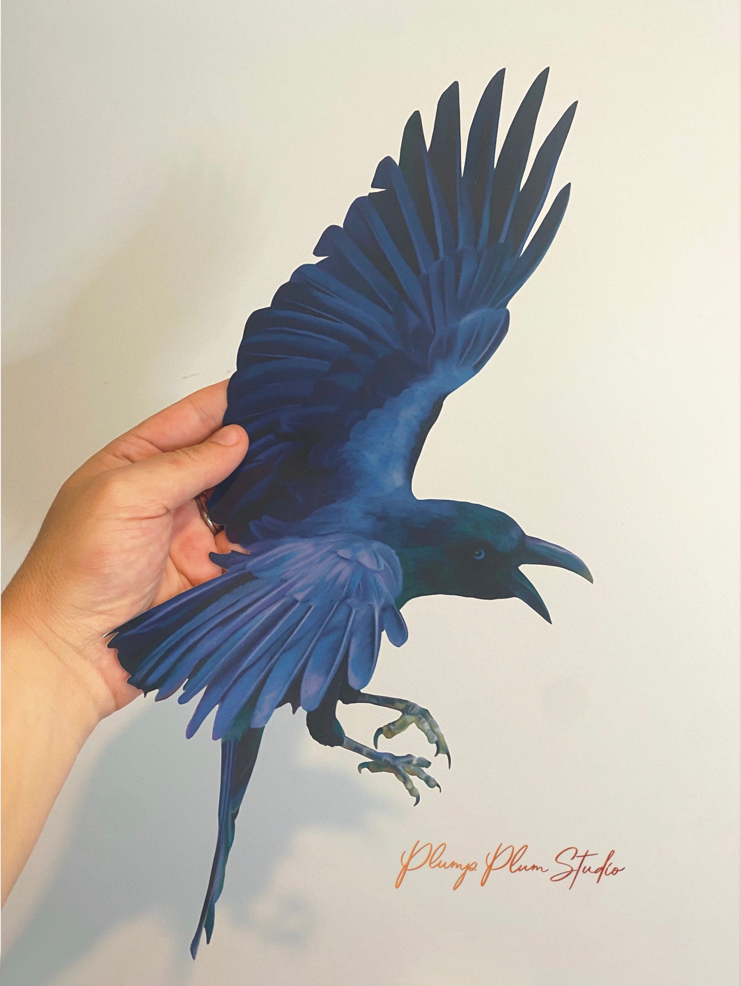 Crow decal, flying raven vinyl decal, Bird lover gift, illustrated gothic black crow, peel/stick, repositionable vinyl decal, outdoor/indoor