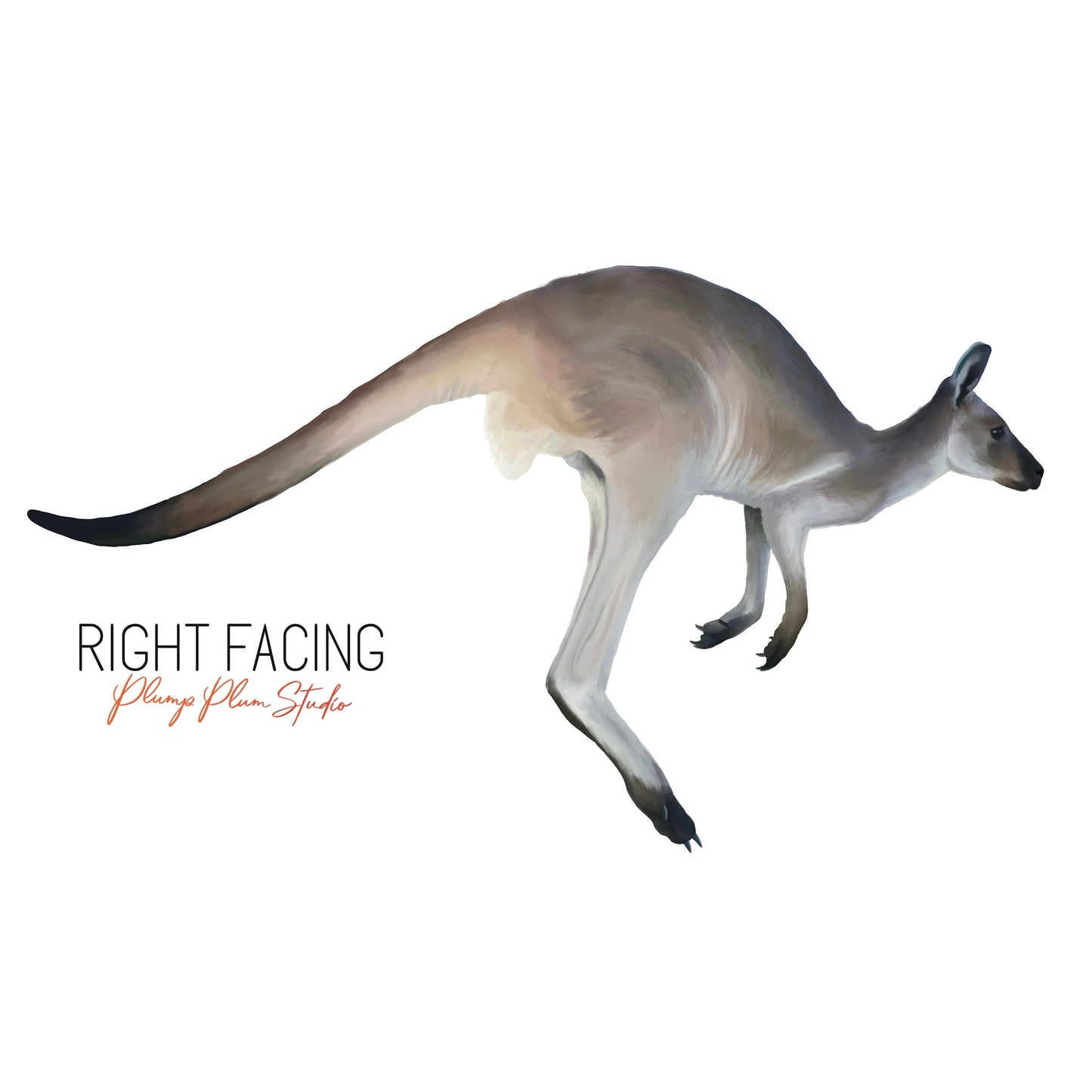 Kangaroo decal, Australian animal sticker, Nature lover gift, Realistic Kangaroo art print, indoor/outdoor luxury vinyl decal, textured