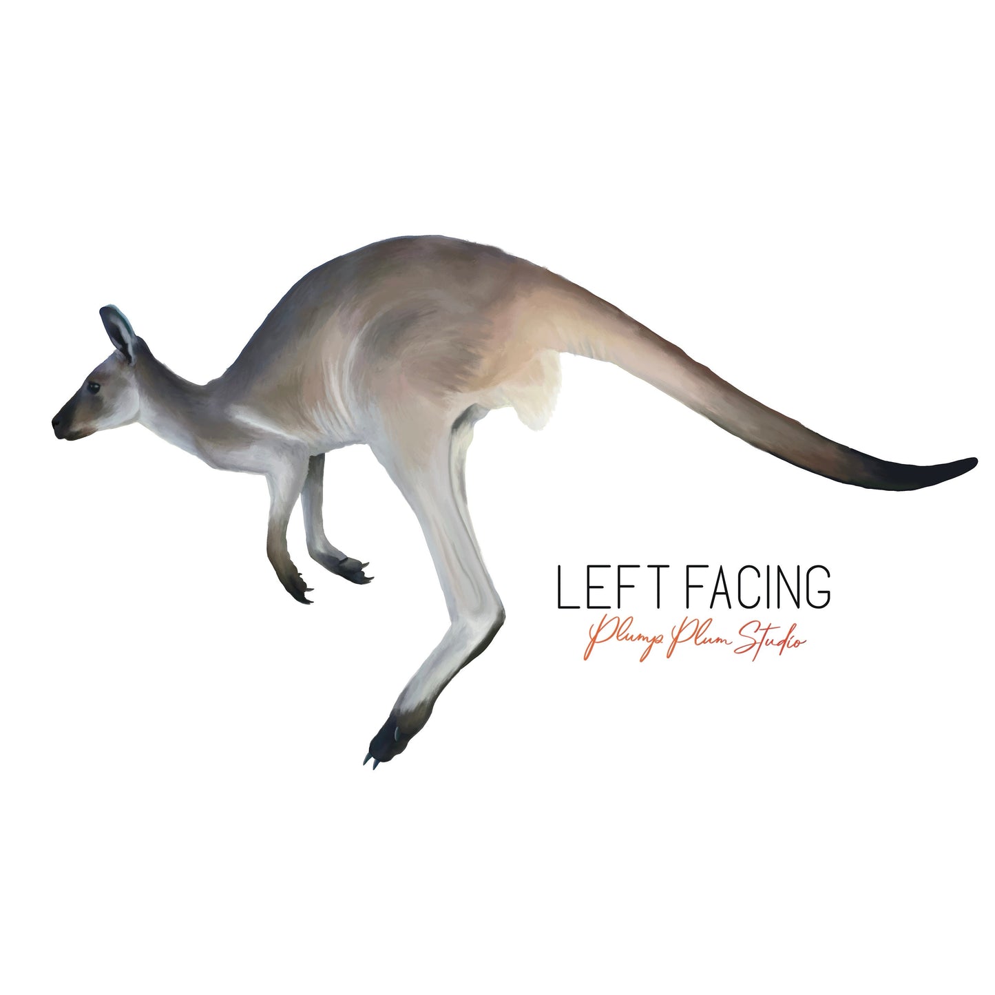 Kangaroo decal, Australian animal sticker, Nature lover gift, Realistic Kangaroo art print, indoor/outdoor luxury vinyl decal, textured
