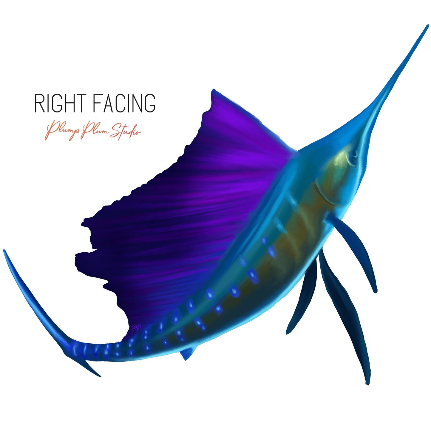 Vibrant coloured Sailfish decal, Marine Sporting fish sticker, large Sailfish vinyl sticker, indoor/outdoor peel/stick luxury vinyl decal