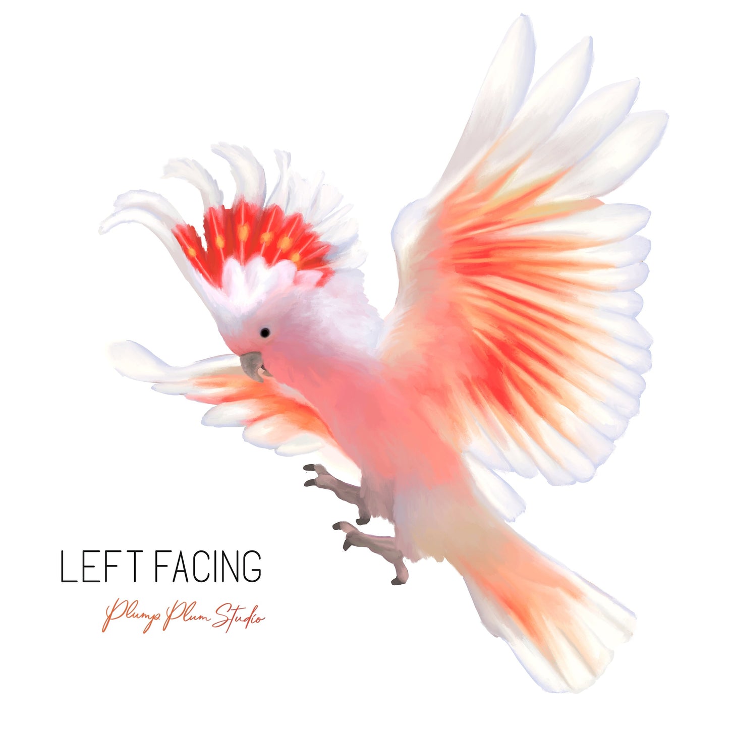 Marvellous Major Mitchell Cockatoo decal, flying Australian pink cockatoo sticker, luxury vinyl bird decal, Pink parrot decal repositionable