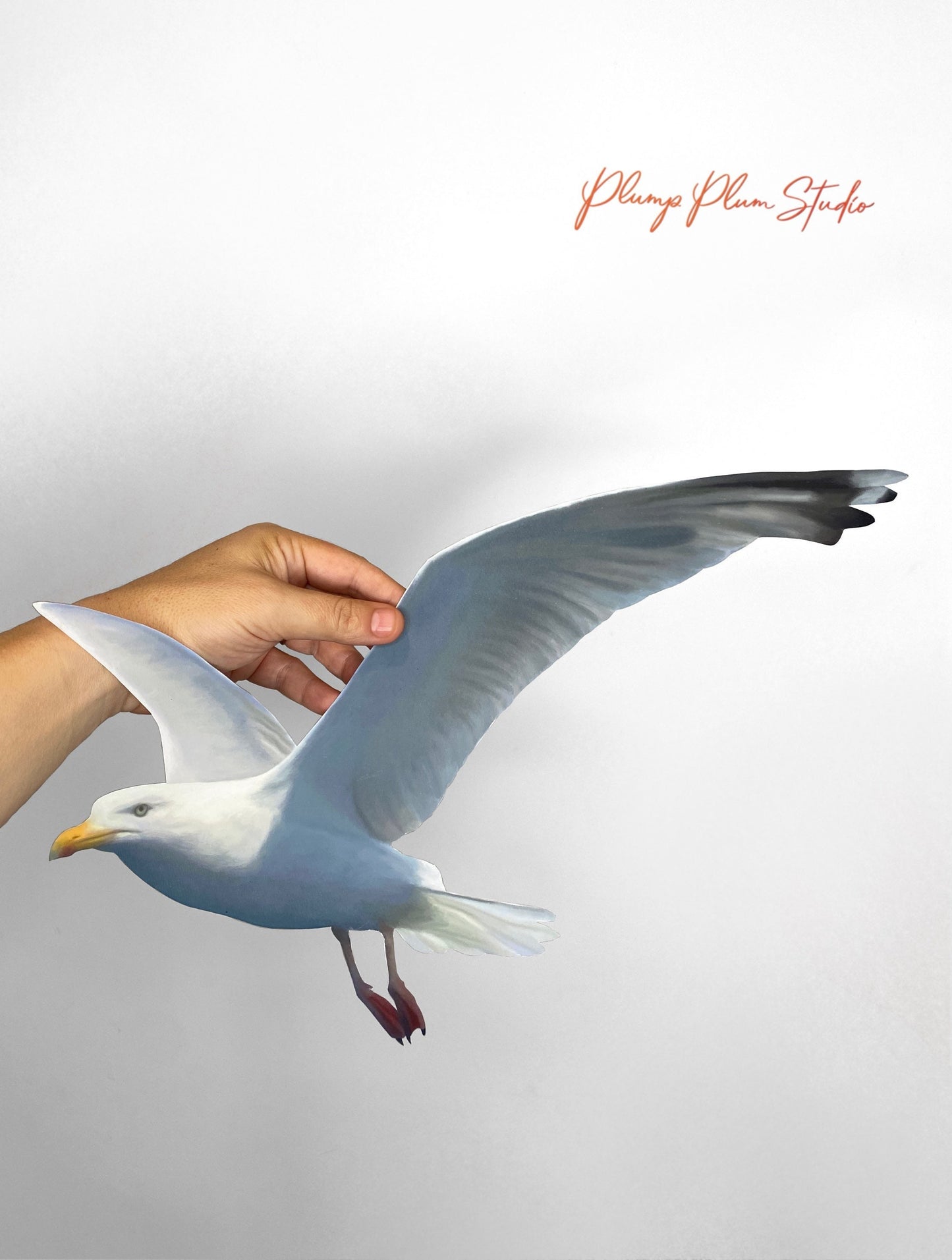 Realistic Flying Seagull decal, Seagull art, Bird lover gift, removable wall art, ocean bird sticker, light switch decal, housewarming gift