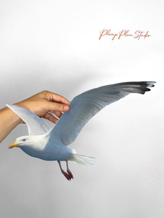 Realistic Flying Seagull decal, Seagull art, Bird lover gift, removable wall art, ocean bird sticker, light switch decal, housewarming gift
