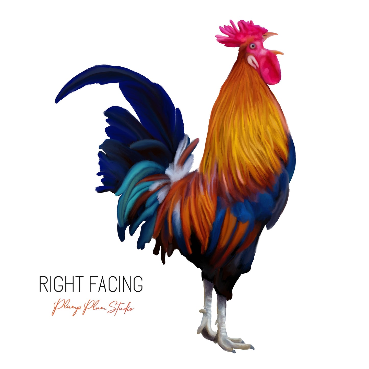 Crowing Rooster decal, colourful realistic rooster sticker, farmhouse decor, deluxe indoor/outdoor repositionable fabric texture vinyl