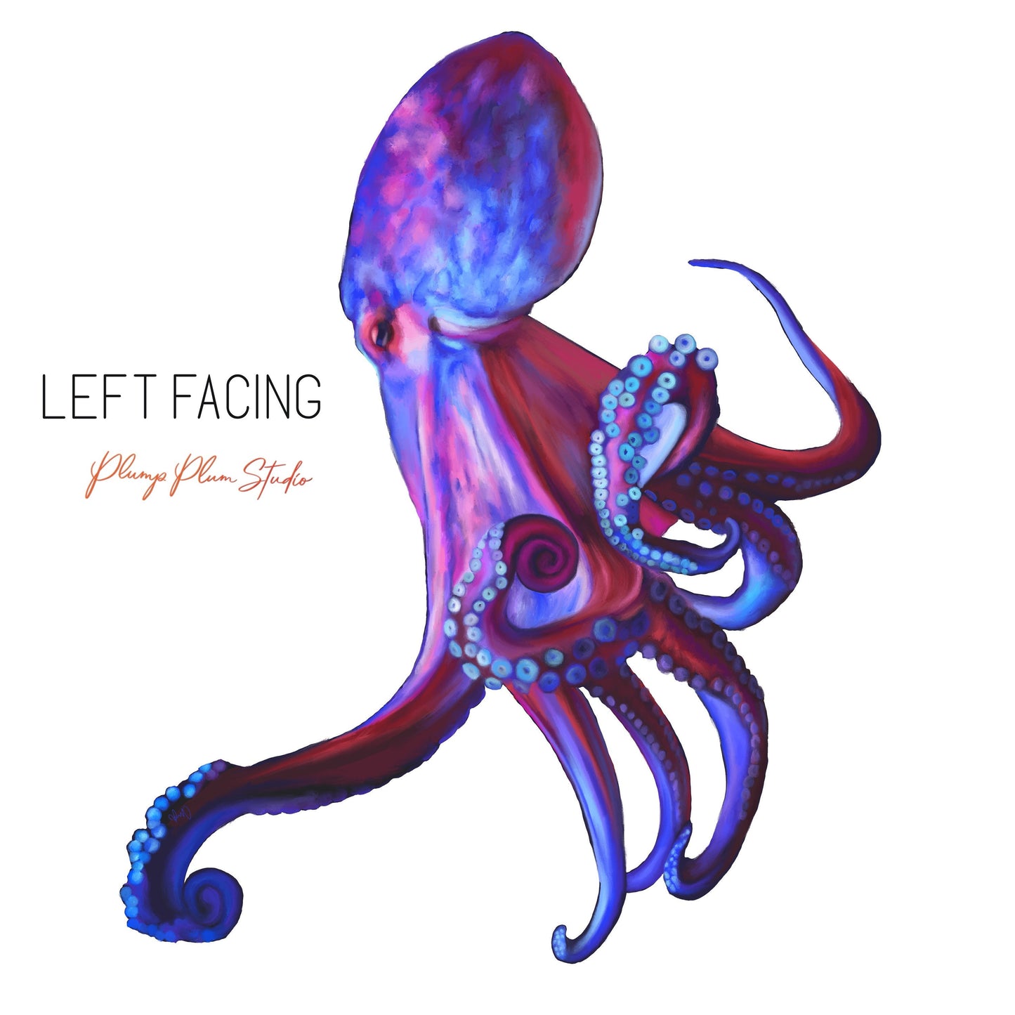 Large Vibrant Common Octopus decal, Repositionable deluxe textured vinyl, Realistic Octopus sticker, Ocean theme decor, indoor/outdoor