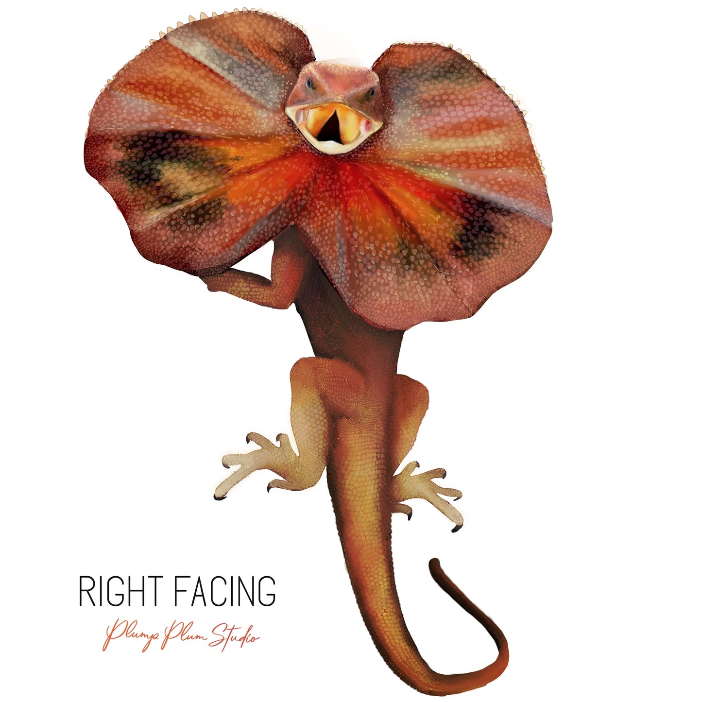 Frill-neck Lizard decal, Australian reptile sticker, lizard sticker, indoor/outdoor repositionable luxury textured vinyl decal, car decal