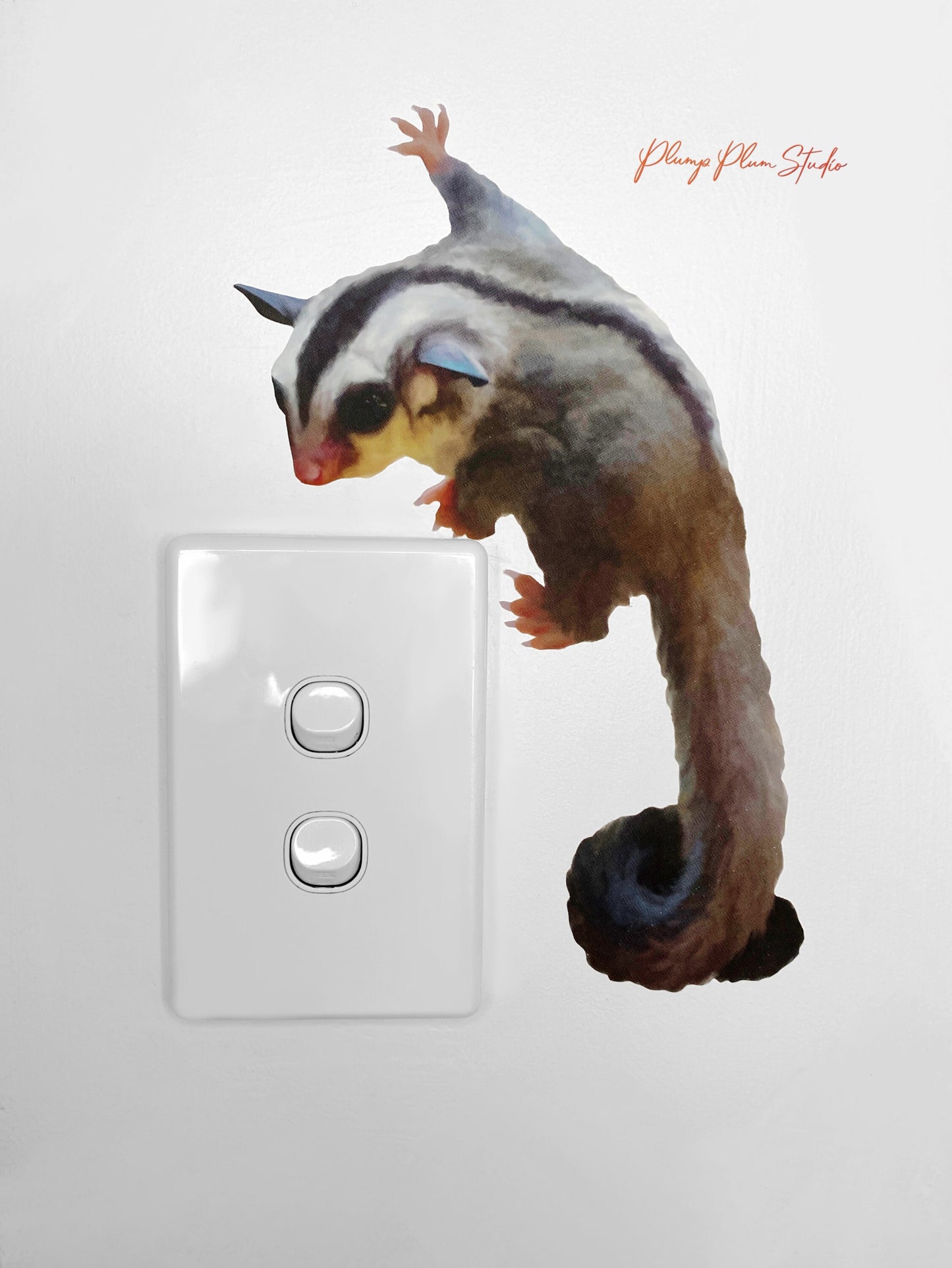 Sugar Glider possum decal, cute sugar glider sticker, Australian sugar glider gift, repositionable luxury textured vinyl, indoor/outdoor