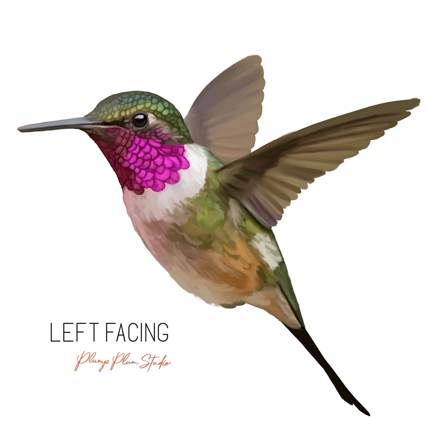 Hummingbird decal, Hummingbird sticker, repositionable peel/stick, light switch decal, realistic bird, cute vinyl car decal, textured vinyl