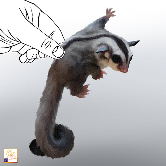 Realistic hand-drawn Australian Sugar Glider decal hanging pose on luxury matte textured vinyl.