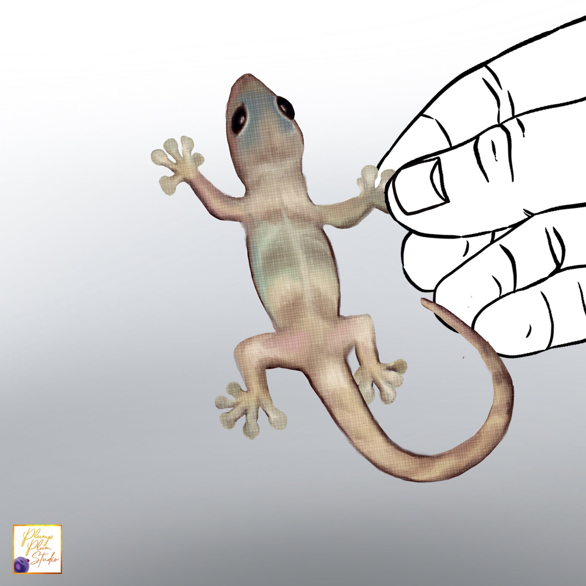 Realistic life-sized Aussie gecko wall decal, hand-drawn art on luxury textured vinyl with no white border