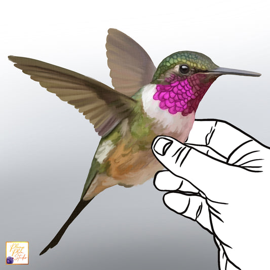 Realistic hand-drawn colourful Hummingbird decal with iridescent-style feathers on luxury matte textured vinyl.
