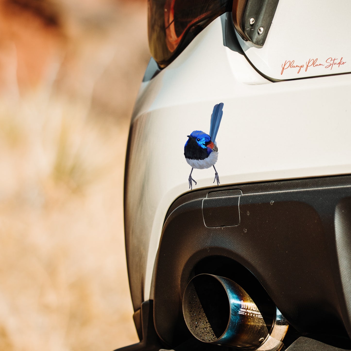 Weatherproof Variegated Fairy Wren vinyl decal applied to a car, showing fade-resistant Australian bird art.