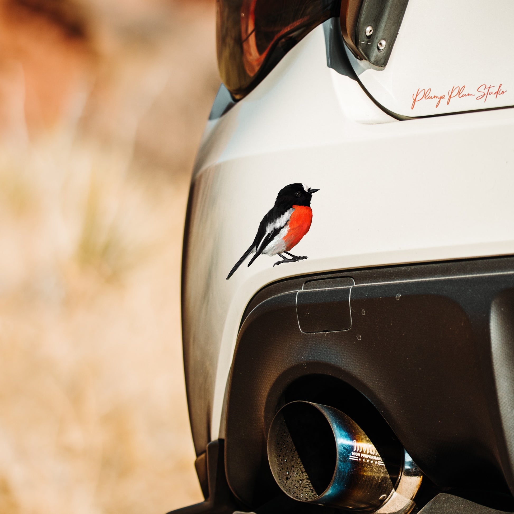 Weatherproof Flame Robin vinyl decal on a car door, featuring fade-resistant hand-illustrated art.