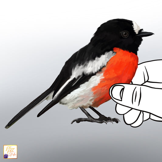 Hand-drawn Flame Robin bird decal with a vibrant red breast on luxury textured matte vinyl.