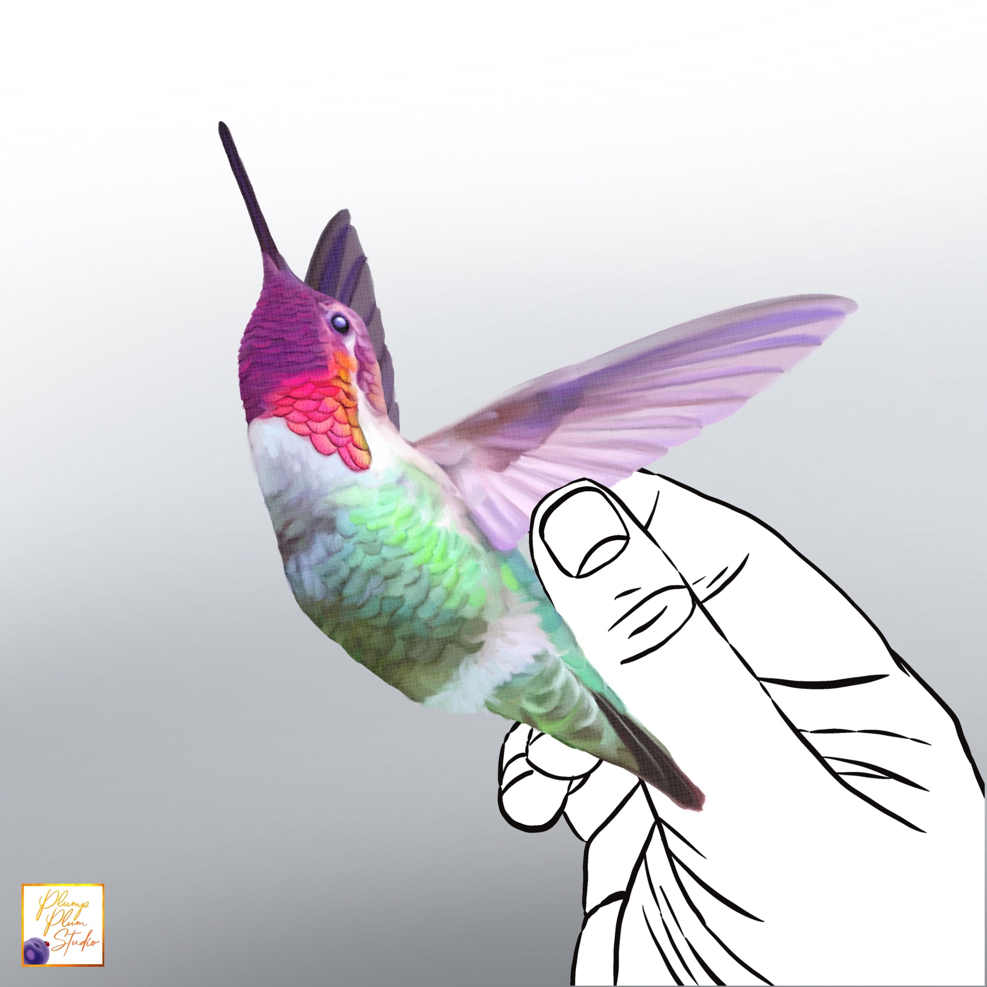 Hand-drawn colourful Hummingbird decal with iridescent-style feathers on luxury matte textured vinyl.