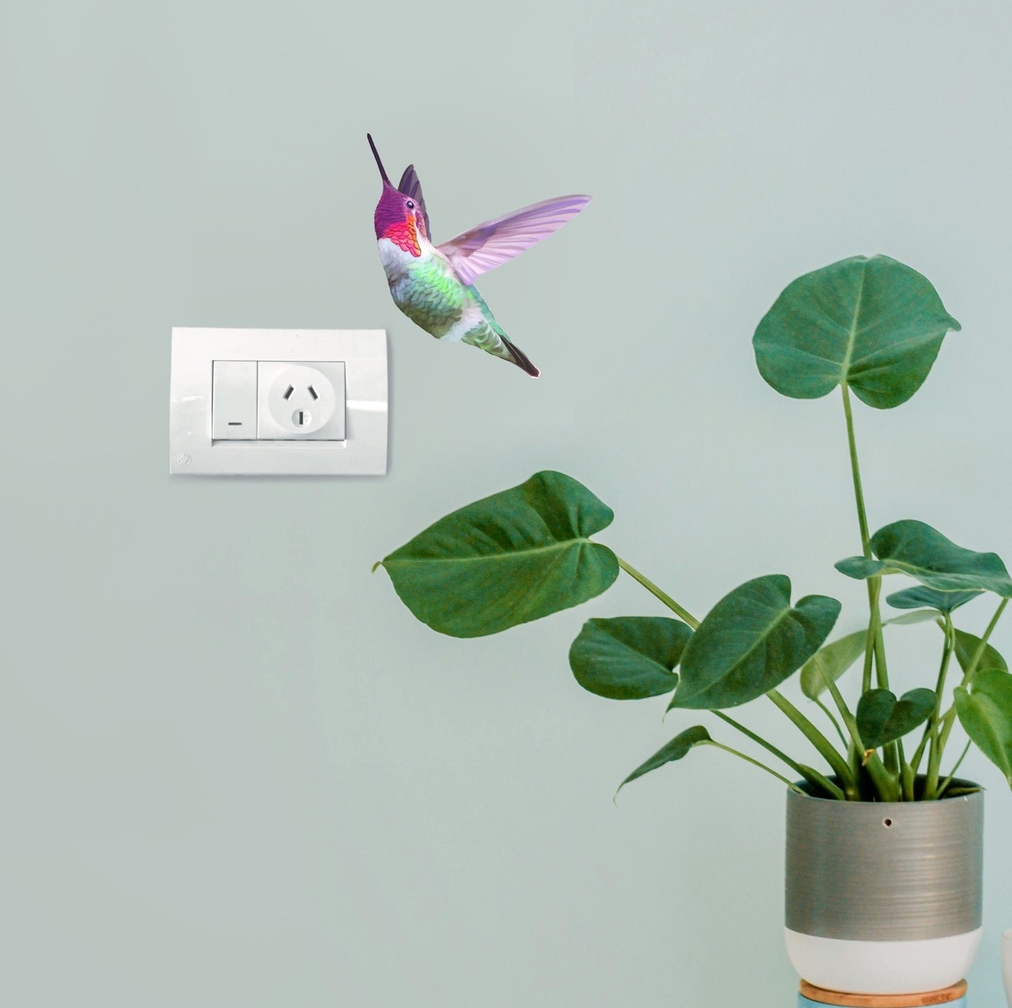 Small realistic Hummingbird wall sticker flying above a light switch in a sunlit lounge room.