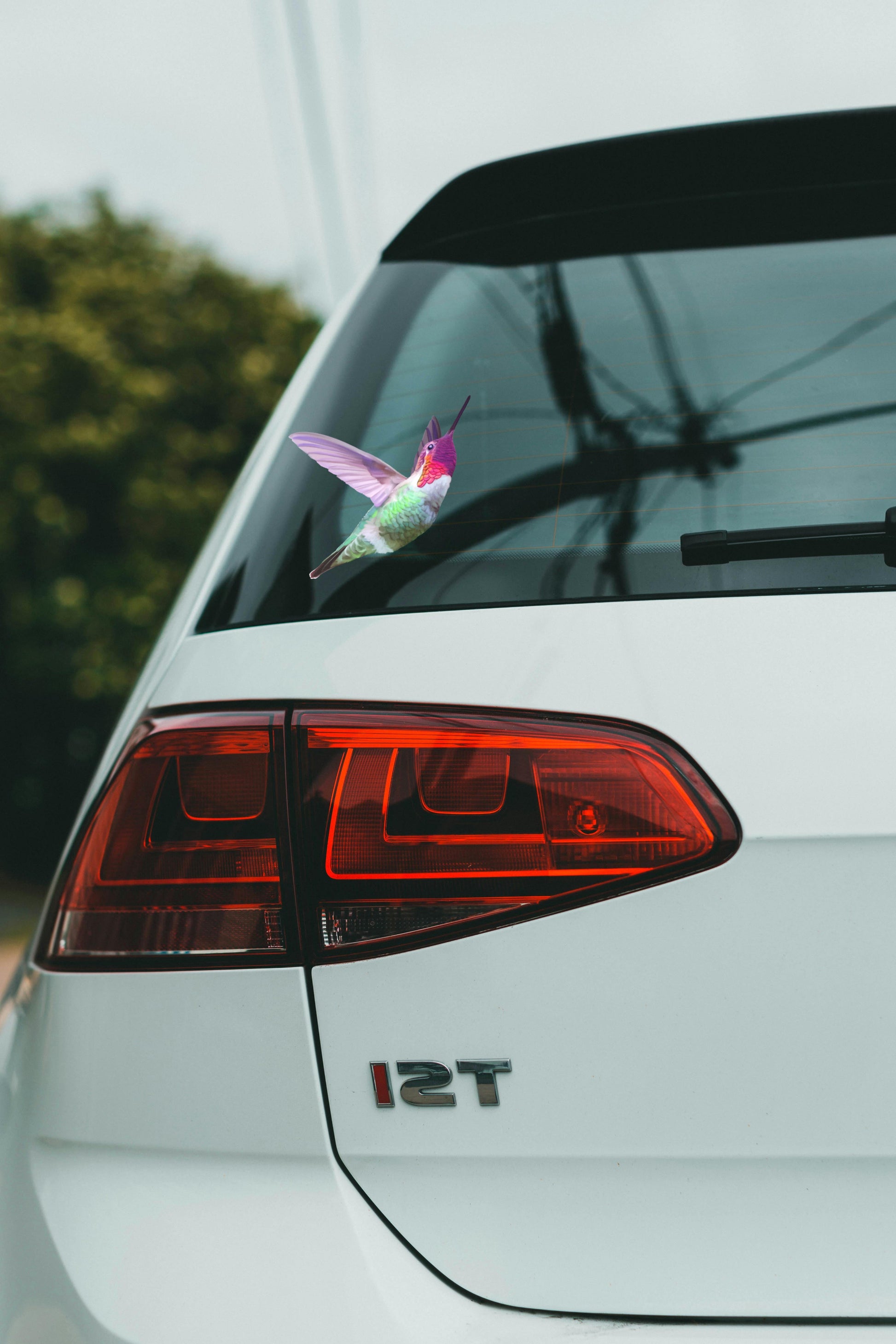 Water-resistant Hummingbird vinyl decal applied to a car window, showing vibrant fade-resistant colors.