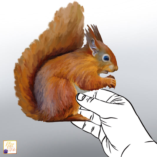 Realistic Red Squirrel decal, woodland animal, illustrated squirrel, adorable squirrel sticker, repositionable textured vinyl, car decal