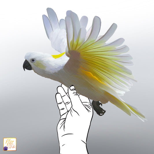 Cockatoo decal, flying cockatoo, Australian themed decor, Yellow crested cockatoo, peel/stick, repositionable vinyl wall decal, car decal