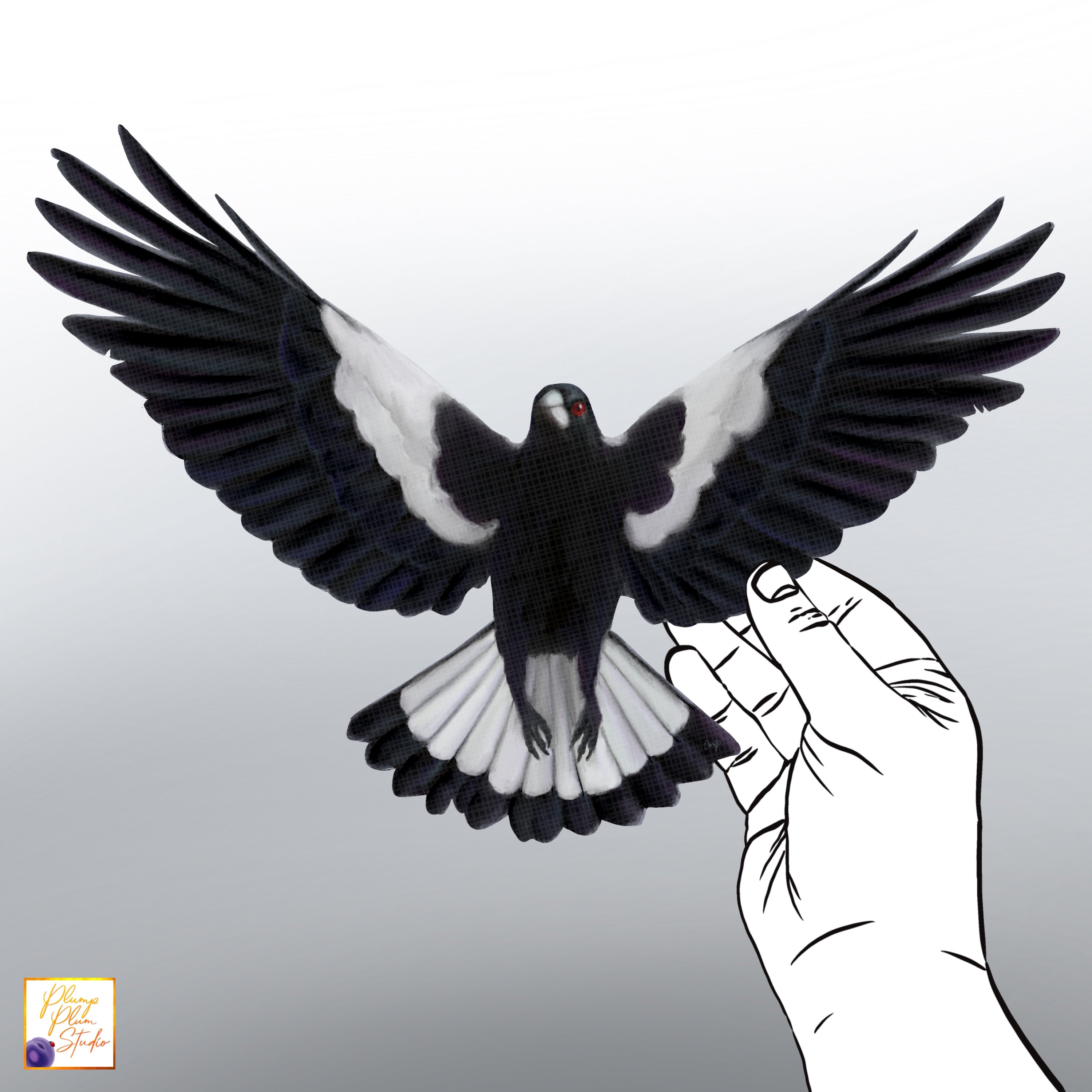 Swooping Magpie decal, Australian Magpie, Bird lover gift, luxury text ...