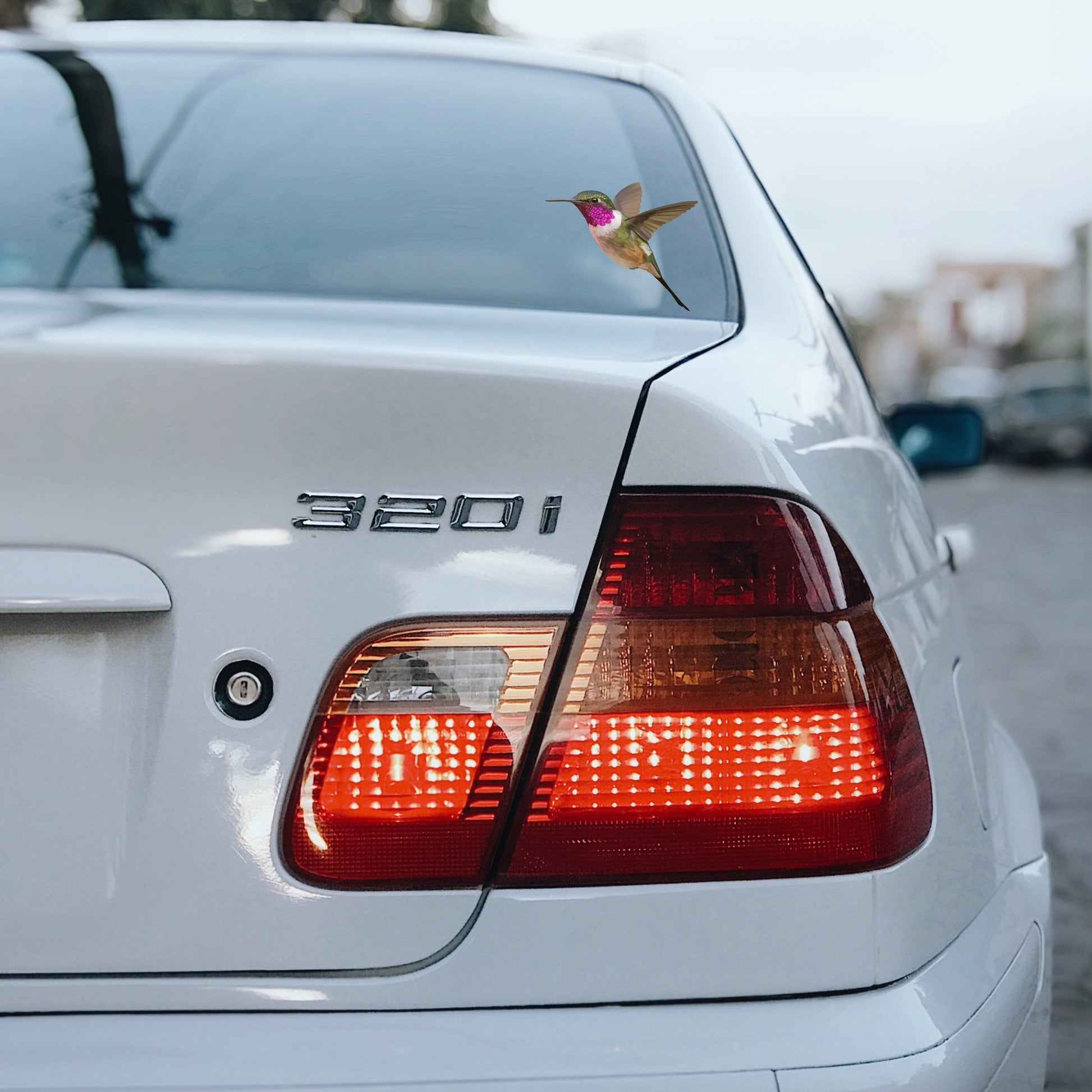 Water-resistant Hummingbird vinyl decal applied to a car window, showing vibrant fade-resistant colors.
