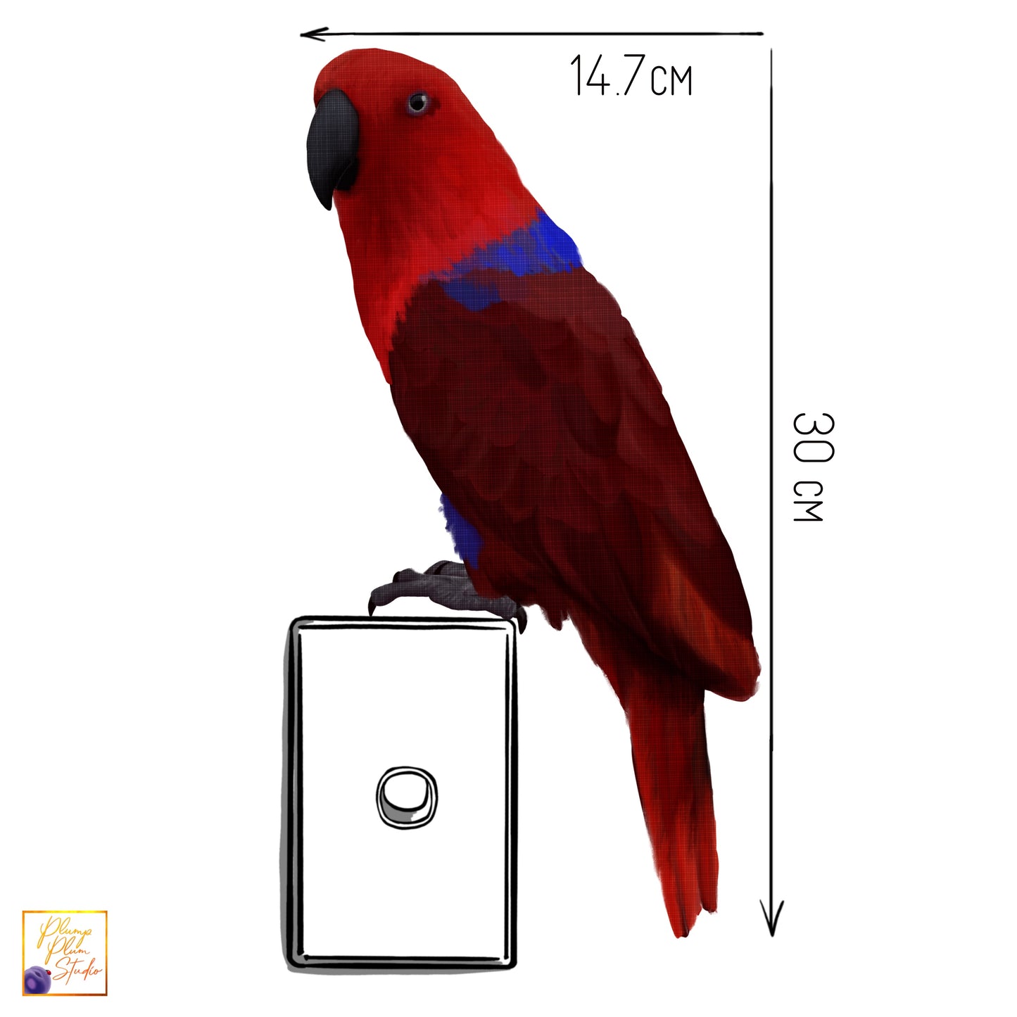 Female Eclectus parrot decal, Ekky parrot sticker, Aussie themed decor, red and blue Australian Eclectus, peel/stick, luxury textured vinyl