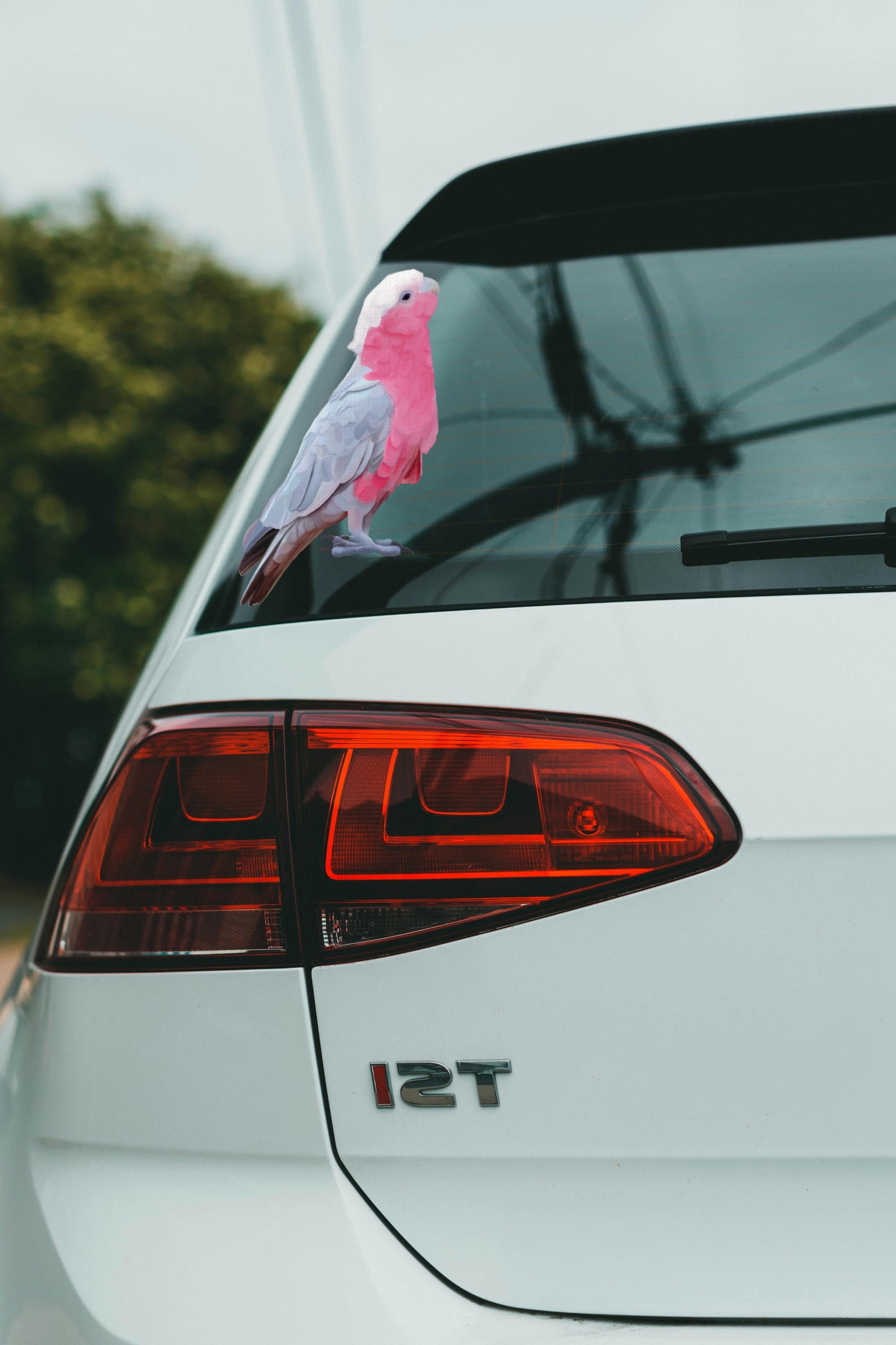 Aussie Pink Galah decal, Pink/grey parrot, Australian galah sticker, Australian bird textured vinyl, Bird lovers gift, indoor/outdoor vinyl