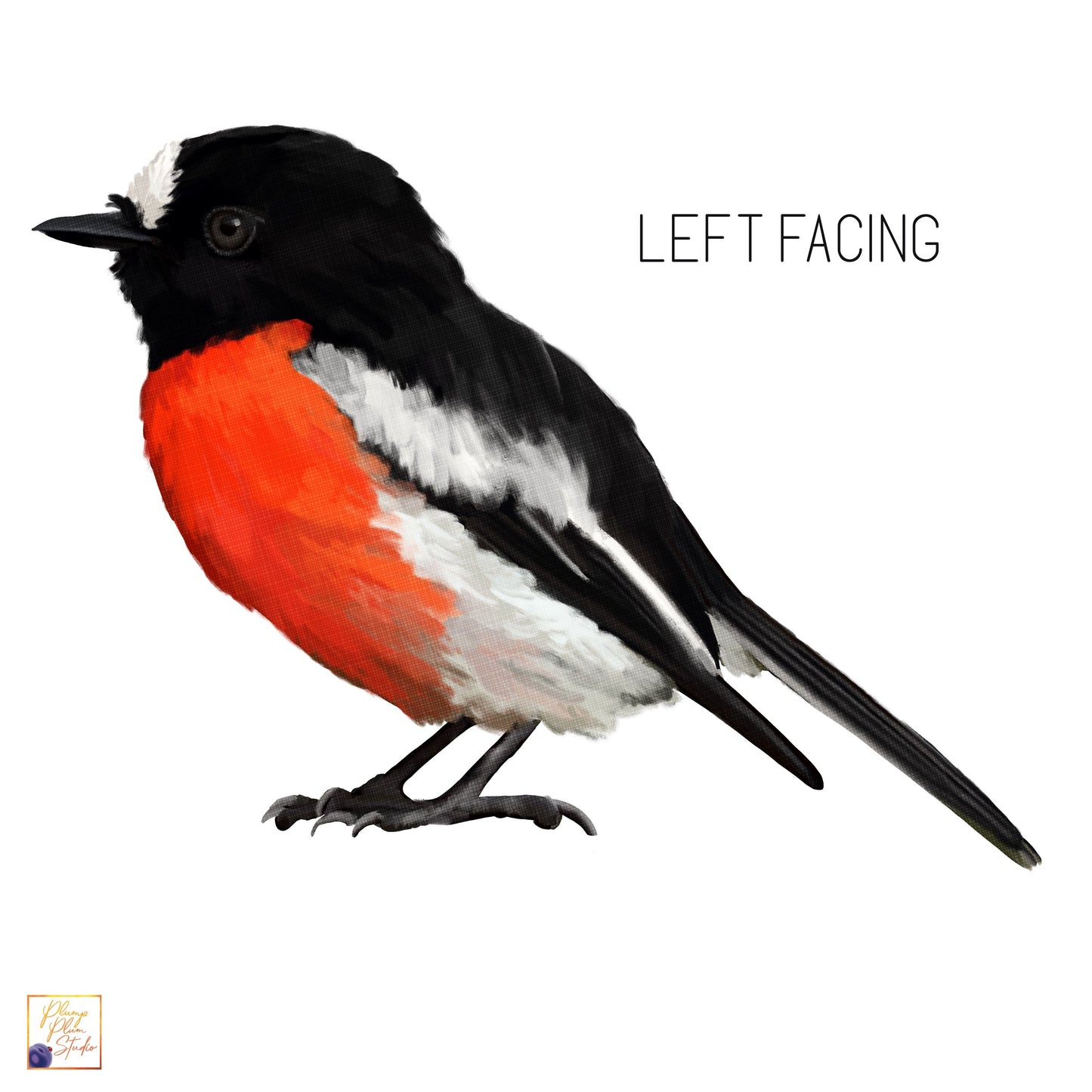 Left facing decal of a Flame Robin, an Australian bird with black and orange feathers