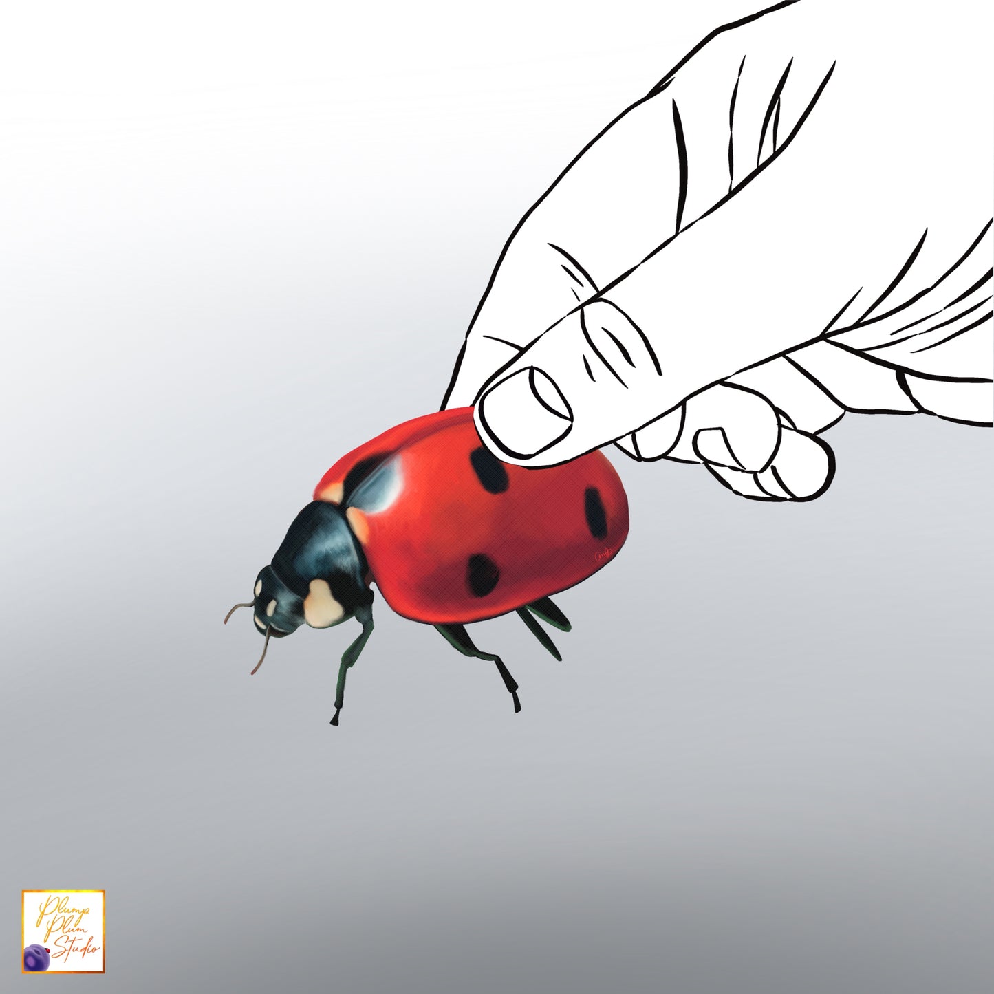 Realistic hand-drawn red Lady Bug decal with black spots on luxury matte textured vinyl.
