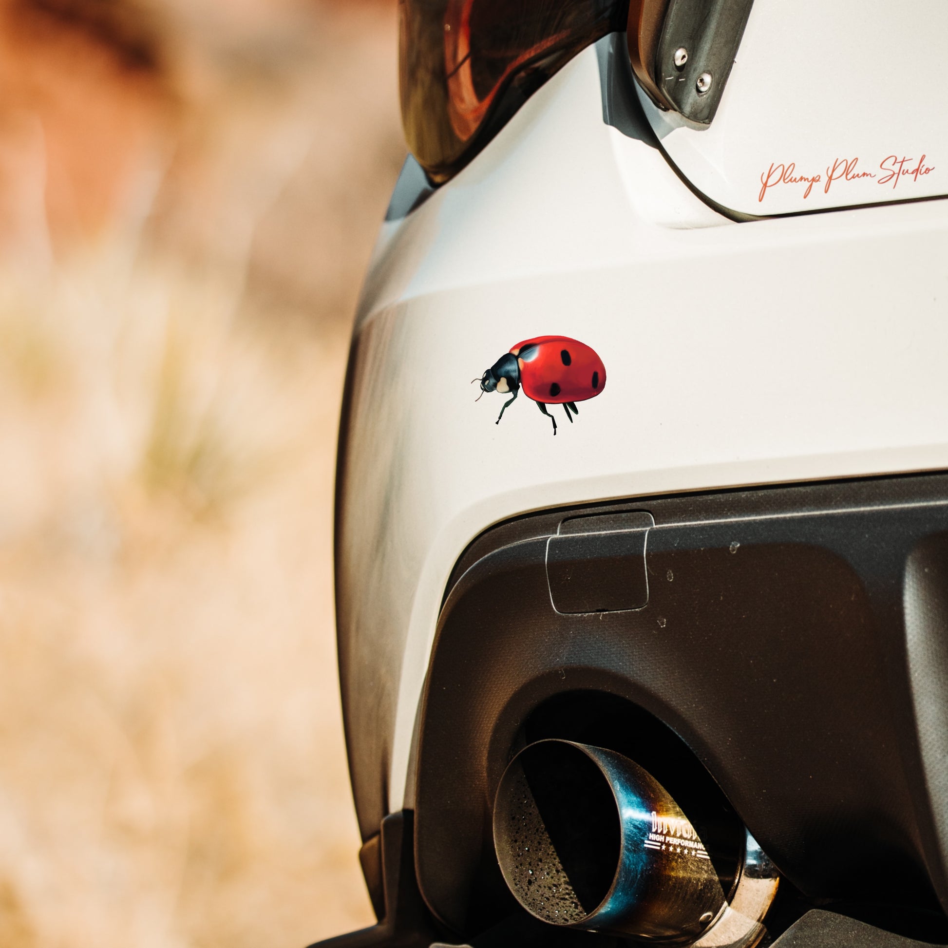 Waterproof Lady Bug vinyl decal applied to a car bumper, showing fade-resistant vibrant red colors.