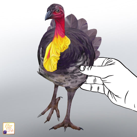 Realistic hand-drawn Australian Bush Turkey decal with red and yellow neck details on luxury matte textured vinyl.
