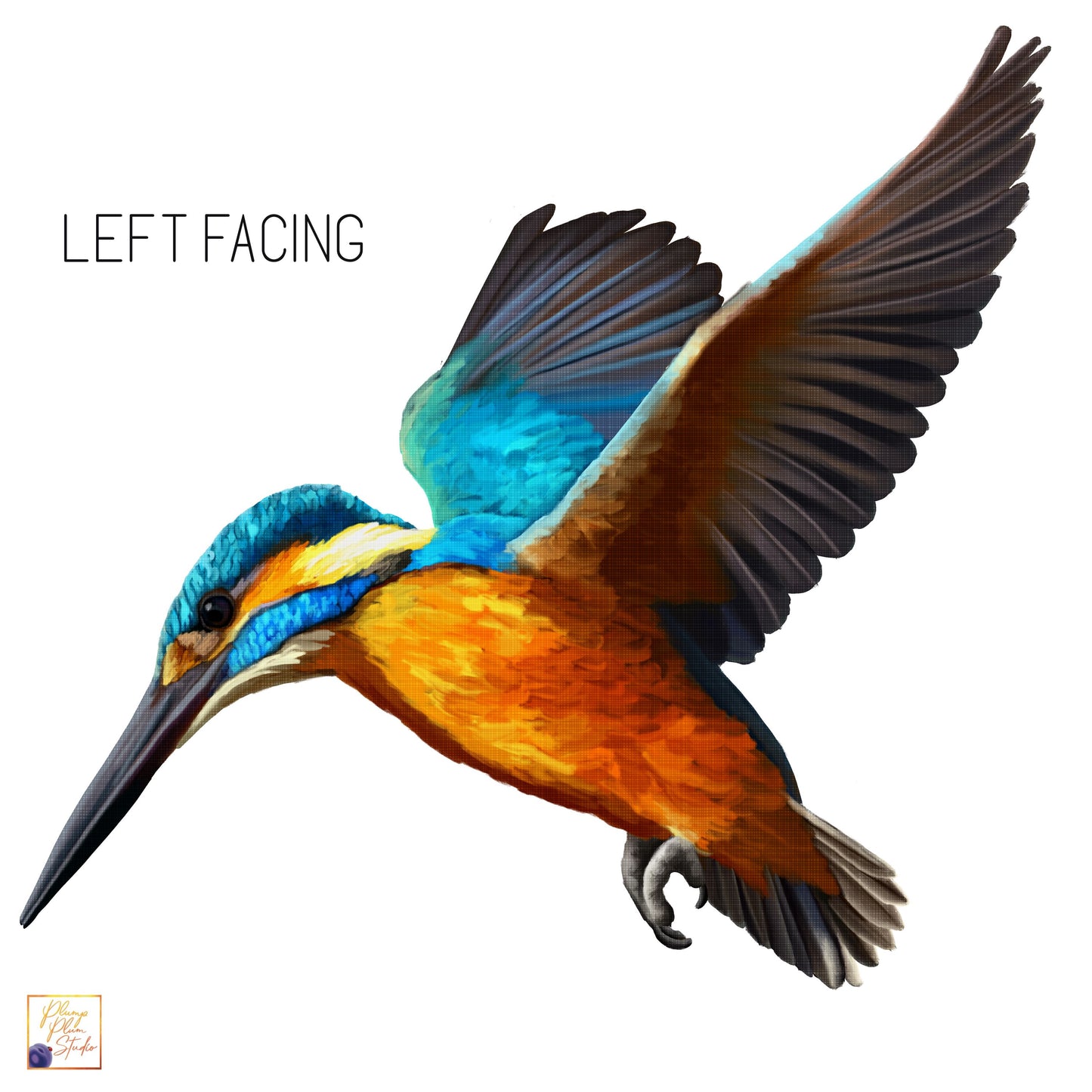 Left facing kingfisher decal