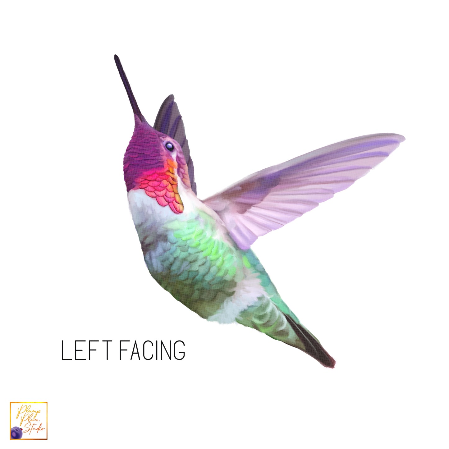 Left facing flying hummingbird luxury textured vinyl decal