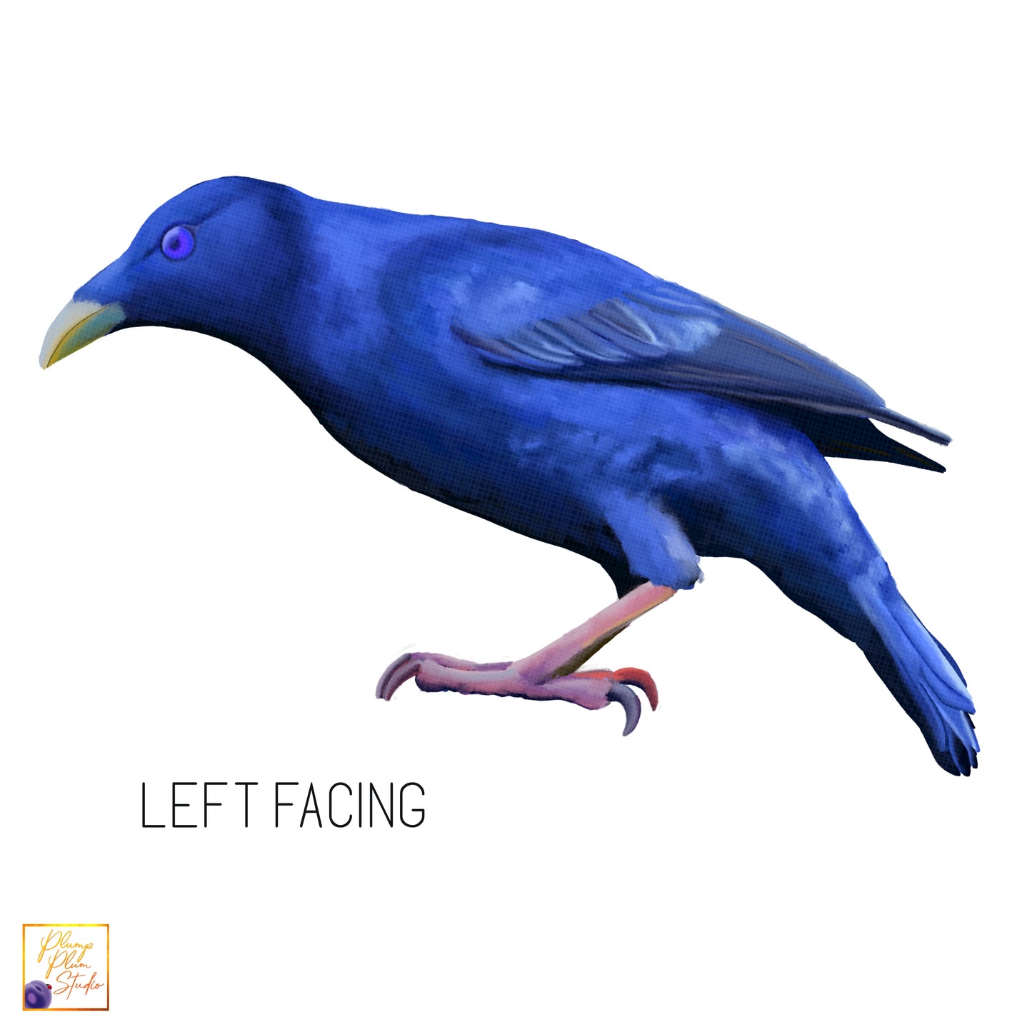 Left facing Bowerbird textured vinyl decal