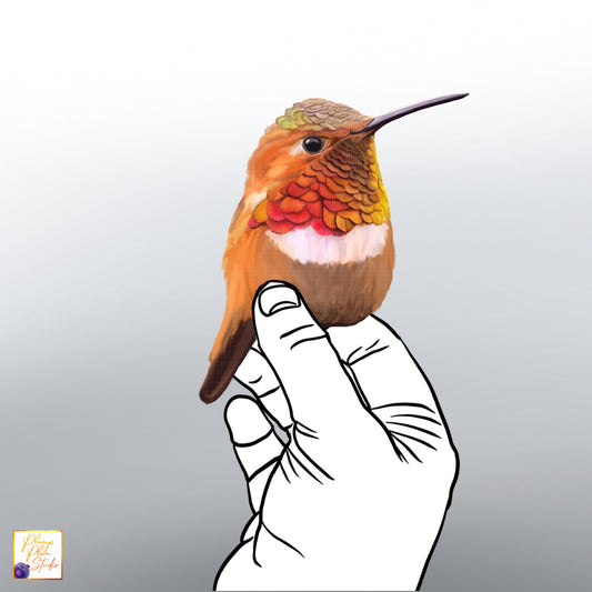 Small realistic hand-drawn perched hummingbird decal on luxury matte textured vinyl.