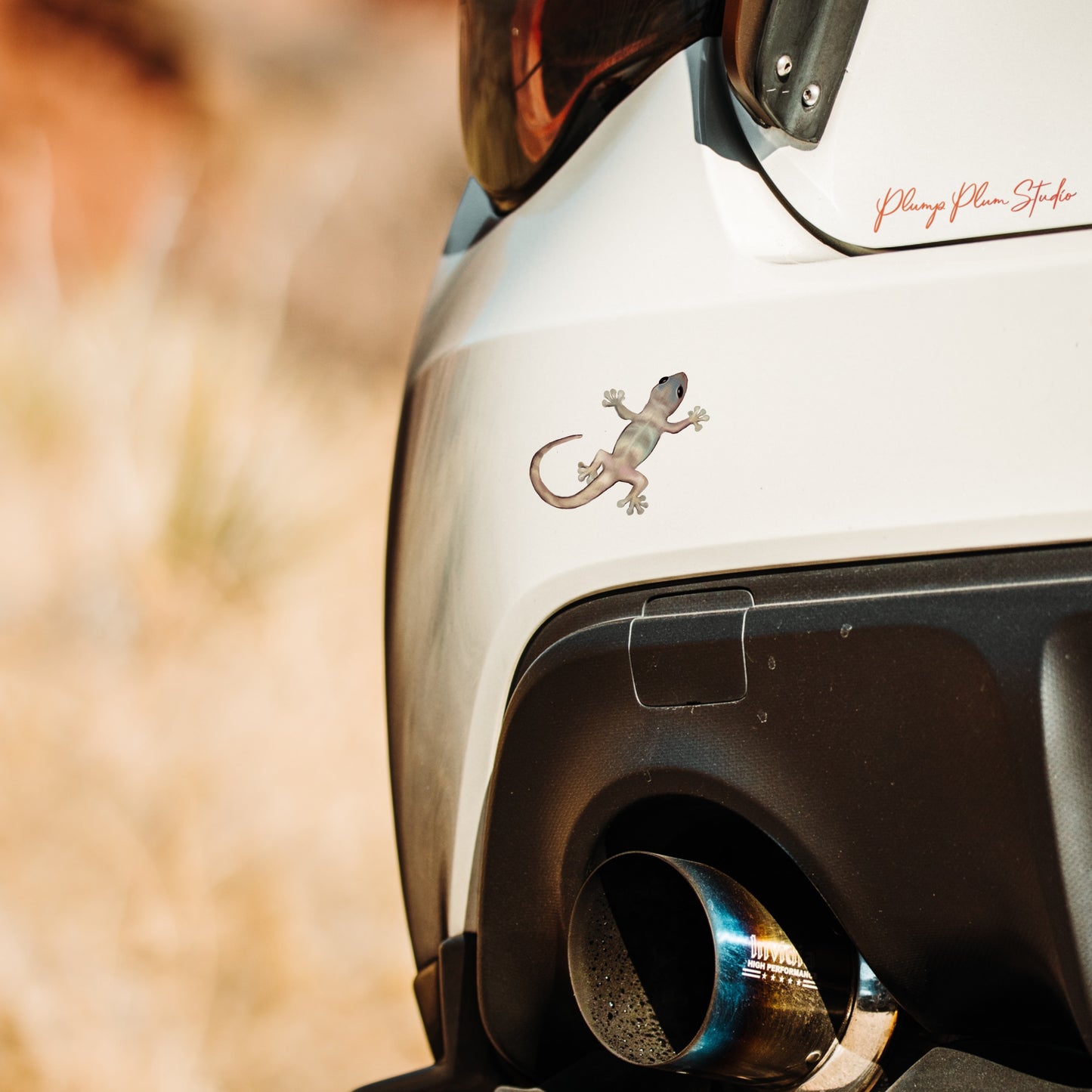 Weather-resistant gecko decal applied to a car, showcasing durable outdoor vinyl quality.