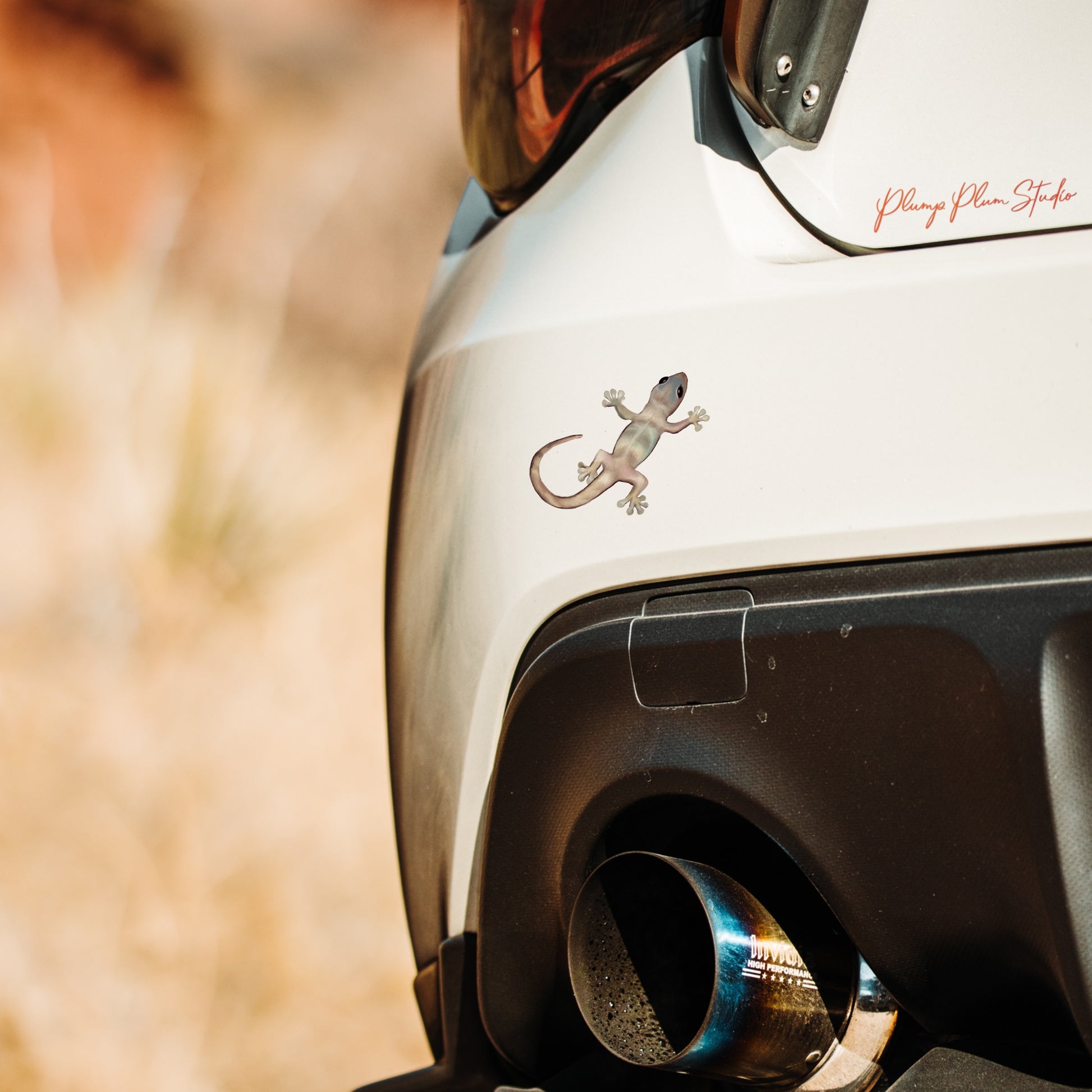 Weather-resistant gecko decal applied to a car, showcasing durable outdoor vinyl quality.
