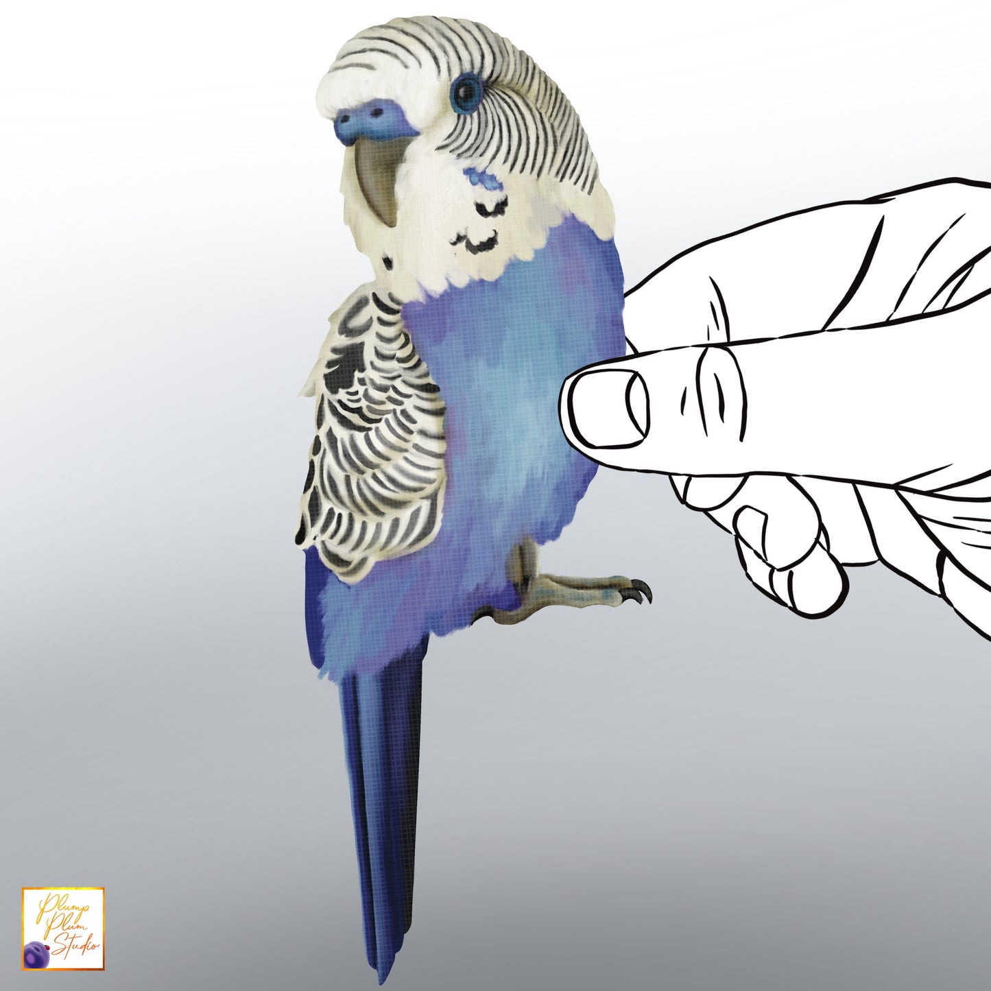 Realistic hand-drawn blue and white Budgerigar bird decal on luxury matte textured vinyl.