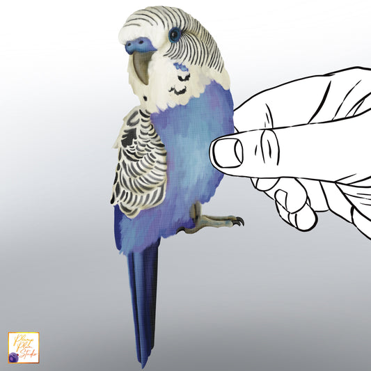 Realistic hand-drawn blue and white Budgerigar bird decal on luxury matte textured vinyl.