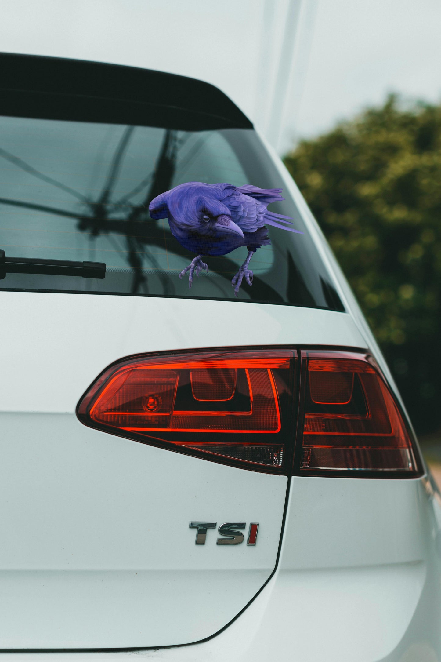 Weatherproof black raven vinyl decal on a car window, featuring fade-resistant hand-illustrated detail.