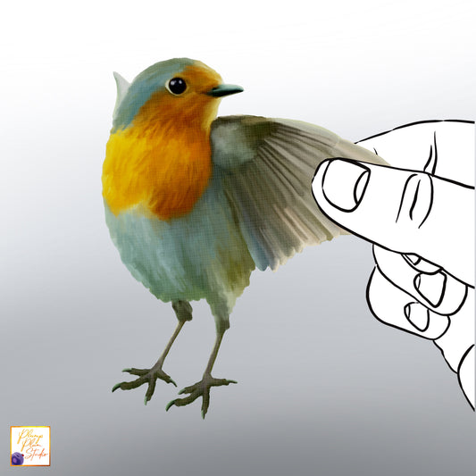 Realistic hand-drawn European Redbreast Robin bird decal on luxury matte textured vinyl.