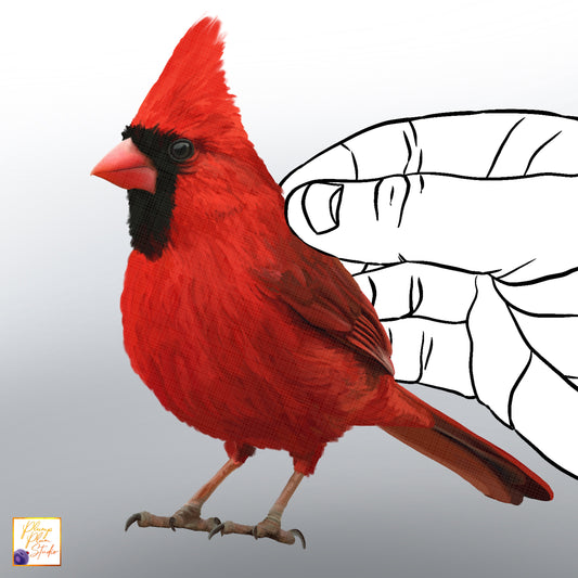 Hand‑drawn Red Cardinal bird sticker on textured vinyl