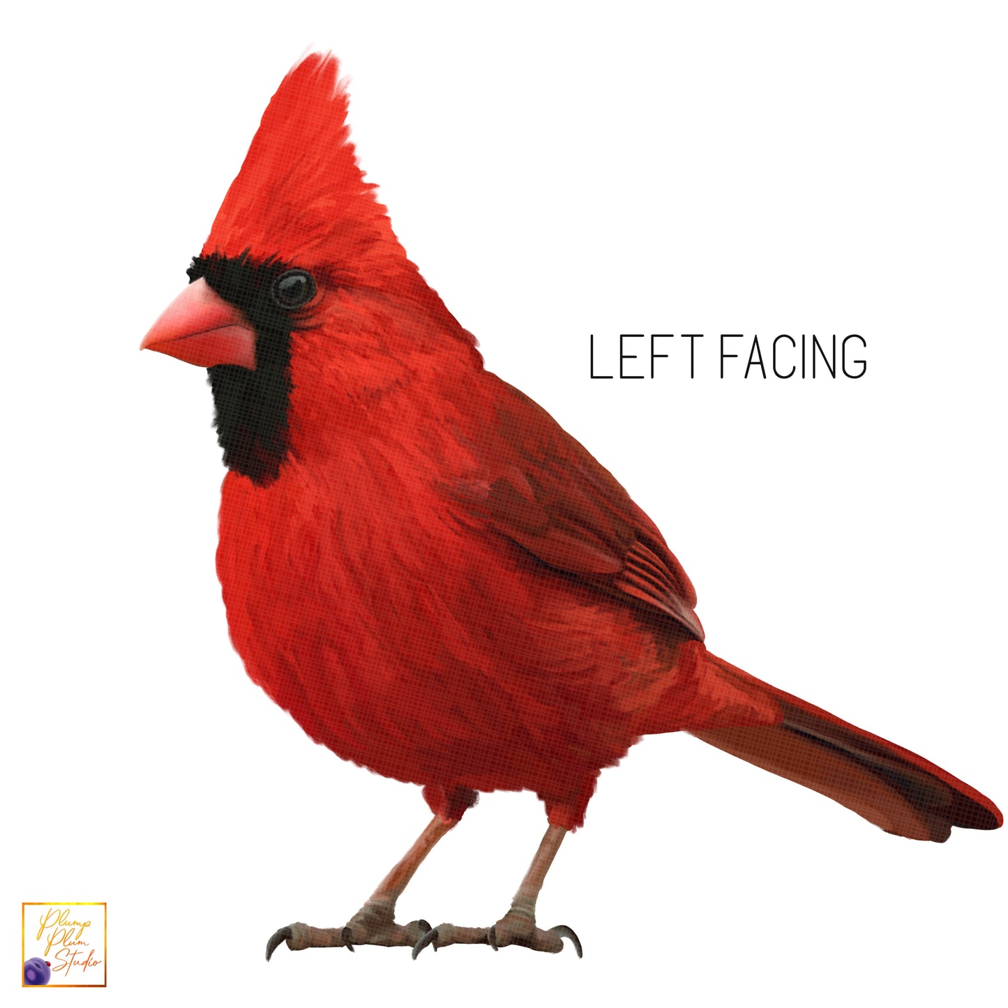 Red Cardinal left facing vinyl sticker